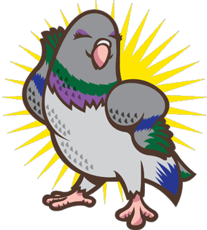 Pidgeon Coop Productions